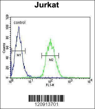Anti-ALAD (C-term) Antibody