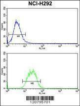 Anti-SNRPD2 (N-term) Antibody