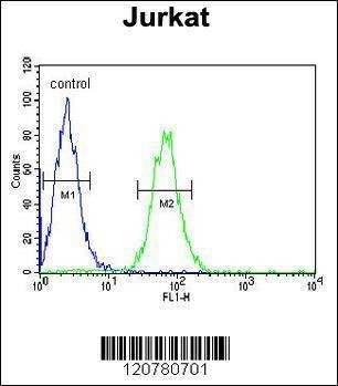 Anti-PTPN11 (C-term) Antibody