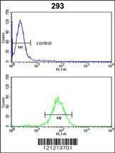 Anti-GNPAT (C-term) Antibody