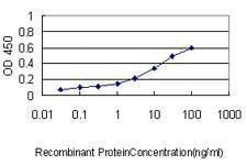Anti-HSPE1 Antibody
