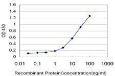 Anti-HUNK Antibody