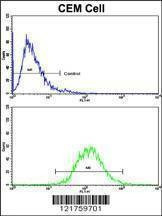 Anti-HMHA1 (Center) Antibody
