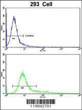 Anti-SDCCAG33 (Center) Antibody