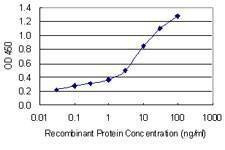 Anti-ICOS Antibody
