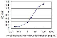 Anti-ICT1 Antibody