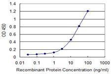 Anti-IFNA13 Antibody