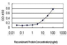 Anti-IFRD2 Antibody