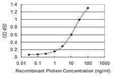 Anti-IGSF6 Antibody