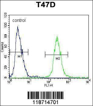 Anti-FGG (C-term) Antibody