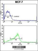 Anti-ADAM9 (C-term) Antibody
