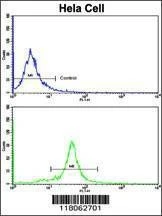 Anti-GOLPH3 (N-term) Antibody