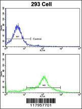 Anti-EHD3 (Center) Antibody