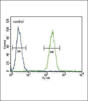 Anti-GIPR (N-term) Antibody