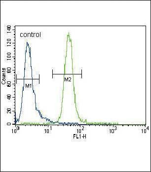 Anti-MUSK (N-term) Antibody