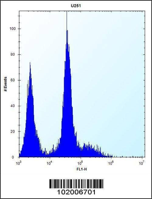 Anti-PDGFRA (C-term E1063) Antibody