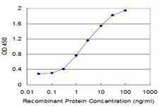 Anti-ITGB6 Antibody