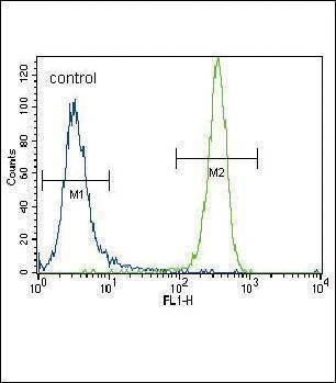 Anti-NRAS (C-term) Antibody