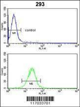 Anti-CYP3A5 (Center) Antibody