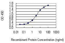 Anti-KIF1C Antibody