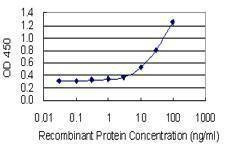 Anti-KIR3DX1 Antibody