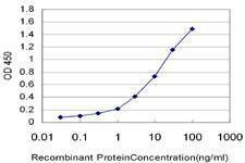 Anti-KITLG Antibody