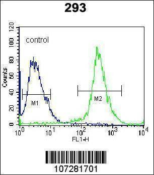 Anti-Rat R MKP3 Antibody
