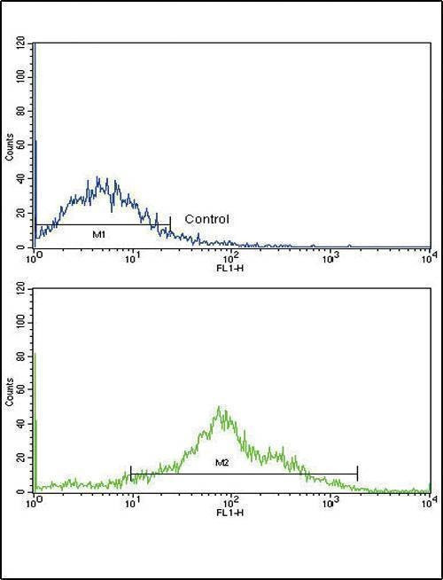 Anti-PLA2G4A (Center) Antibody