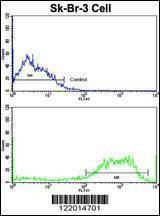 Anti-ABI1 (N-term) Antibody