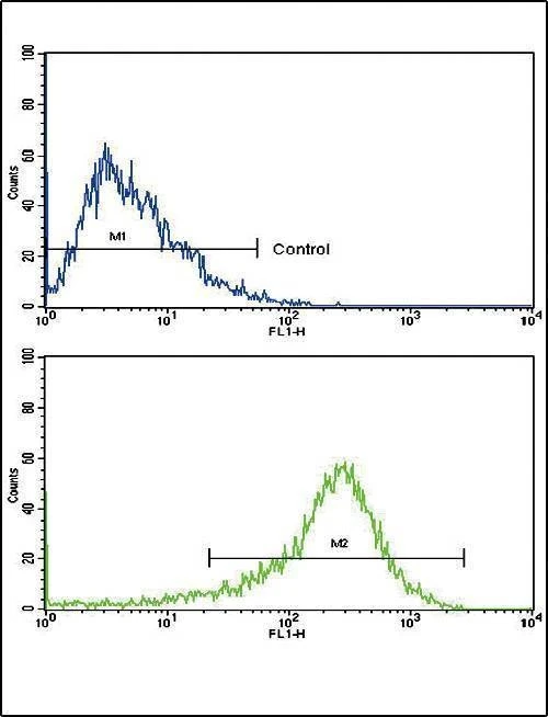 Anti-PIGR (C-term) Antibody