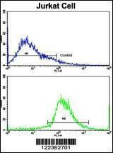 Anti-CECR5 (Center) Antibody