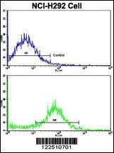 Anti-VTI1A (C-term) Antibody