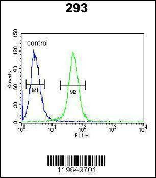 Anti-TARSL2 (C-term) Antibody