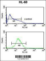 Anti-NR1I2 (Center) Antibody