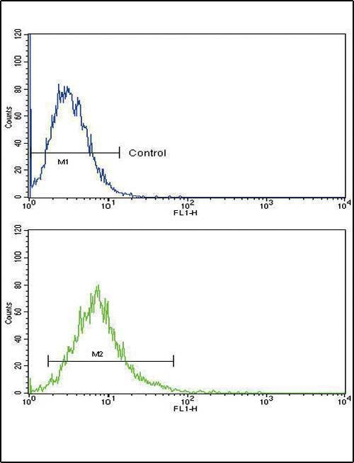 Anti-ATF6 (Center) Antibody