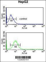 Anti-PECI (C-term) Antibody