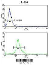 Anti-DOLK (Center) Antibody