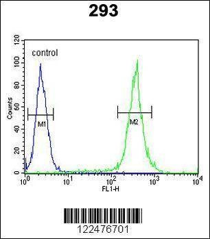 Anti-UNC13B (Center) Antibody