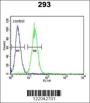 Anti-KCNQ1 (Center) Antibody