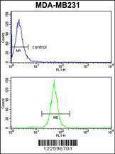 Anti-TGOLN2 (C-term) Antibody