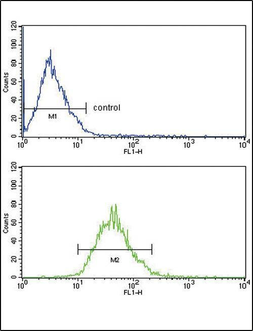 Anti-LDLR (Center) Antibody