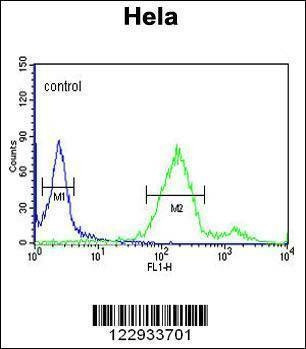 Anti-RAB8A Antibody