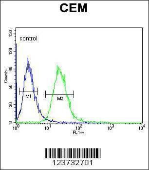 Anti-EDIL3 (Center) Antibody