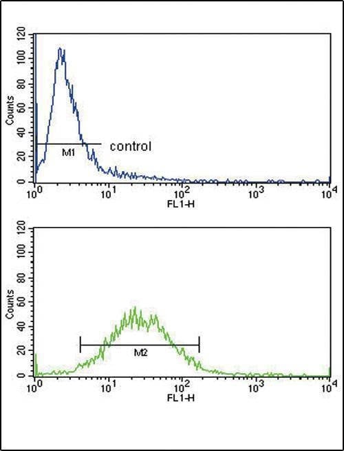 Anti-CSF3R (Center) Antibody