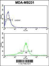 Anti-ACR (Center) Antibody