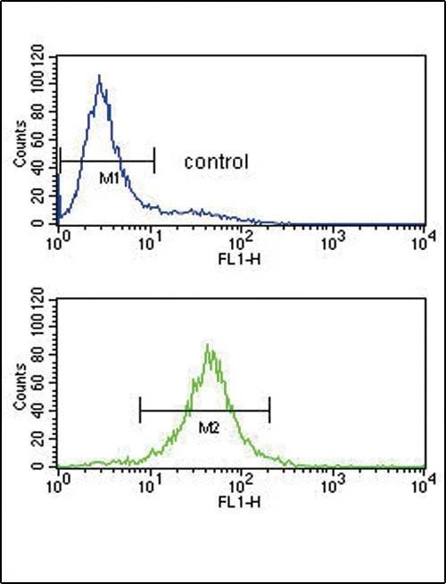 Anti-IL10 (Center) Antibody
