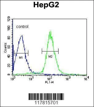 Anti-DIPA (Center) Antibody