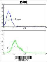 Anti-CFLAR (Center) Antibody