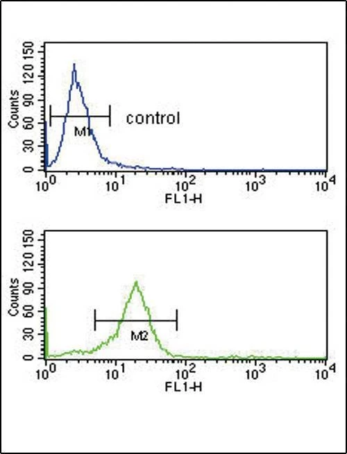 Anti-OPRM1 (Center) Antibody