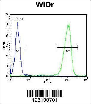 Anti-PXMP3 (Center) Antibody